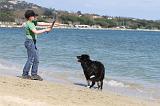 ENFANT ET CHIEN 007
